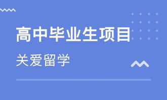 武漢西班牙留學(xué)中介 專業(yè)指南與自費(fèi)出國(guó)服務(wù)全解析